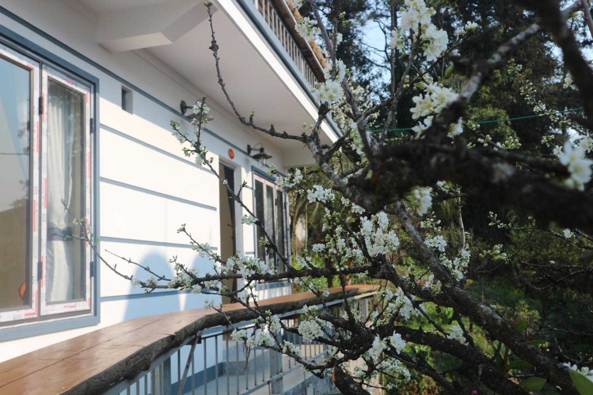 סא פה May Nui Homestay מראה חיצוני תמונה